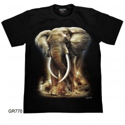 T-Shirt GR770 – Rock Chang...