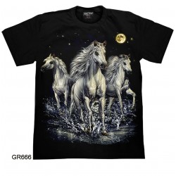 T-Shirt GR666 – Rock Chang...